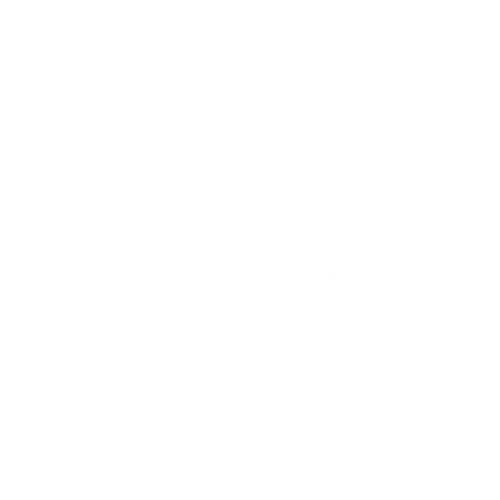 Seamaster Planet Ocean 600M